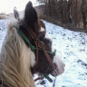 Meet your Posher, Tyra